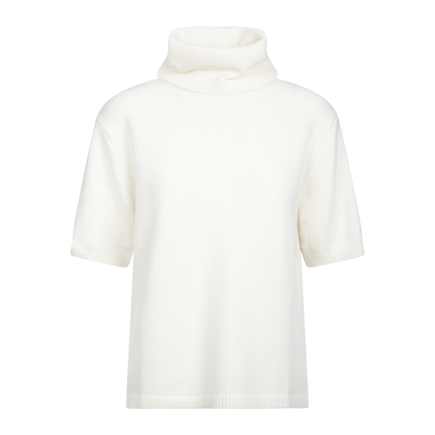 Arwyn Ss Turtleneck