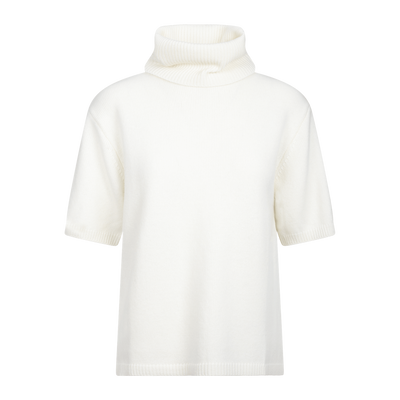 Arwyn Ss Turtleneck