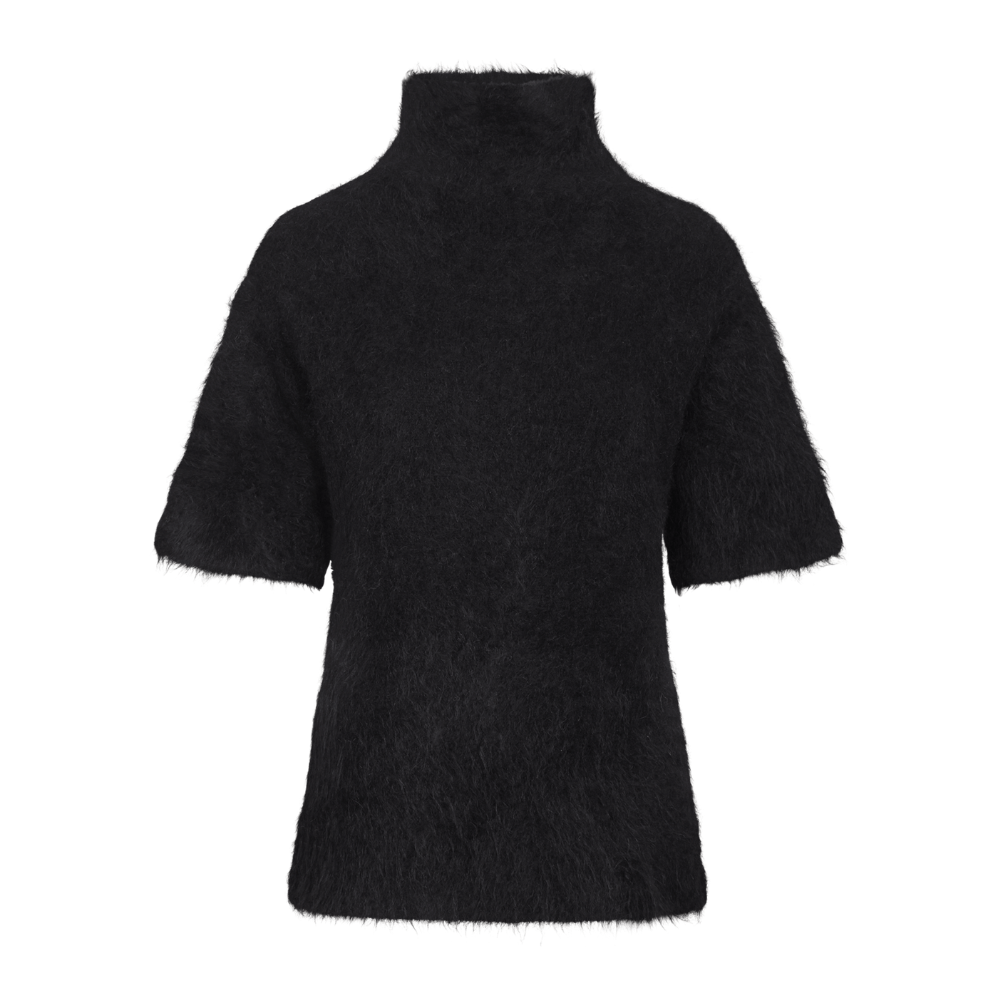 Leah Ss Turtleneck