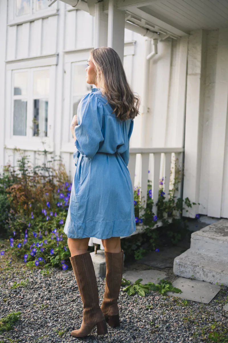 Rauspernille 3/4 shirt dress
