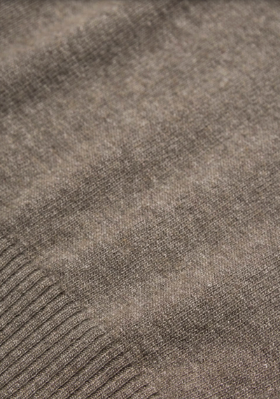 Salim Rollneck