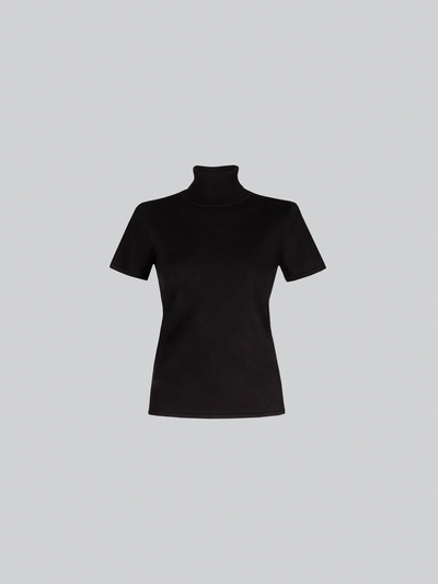 Pola Turtleneck Knit
