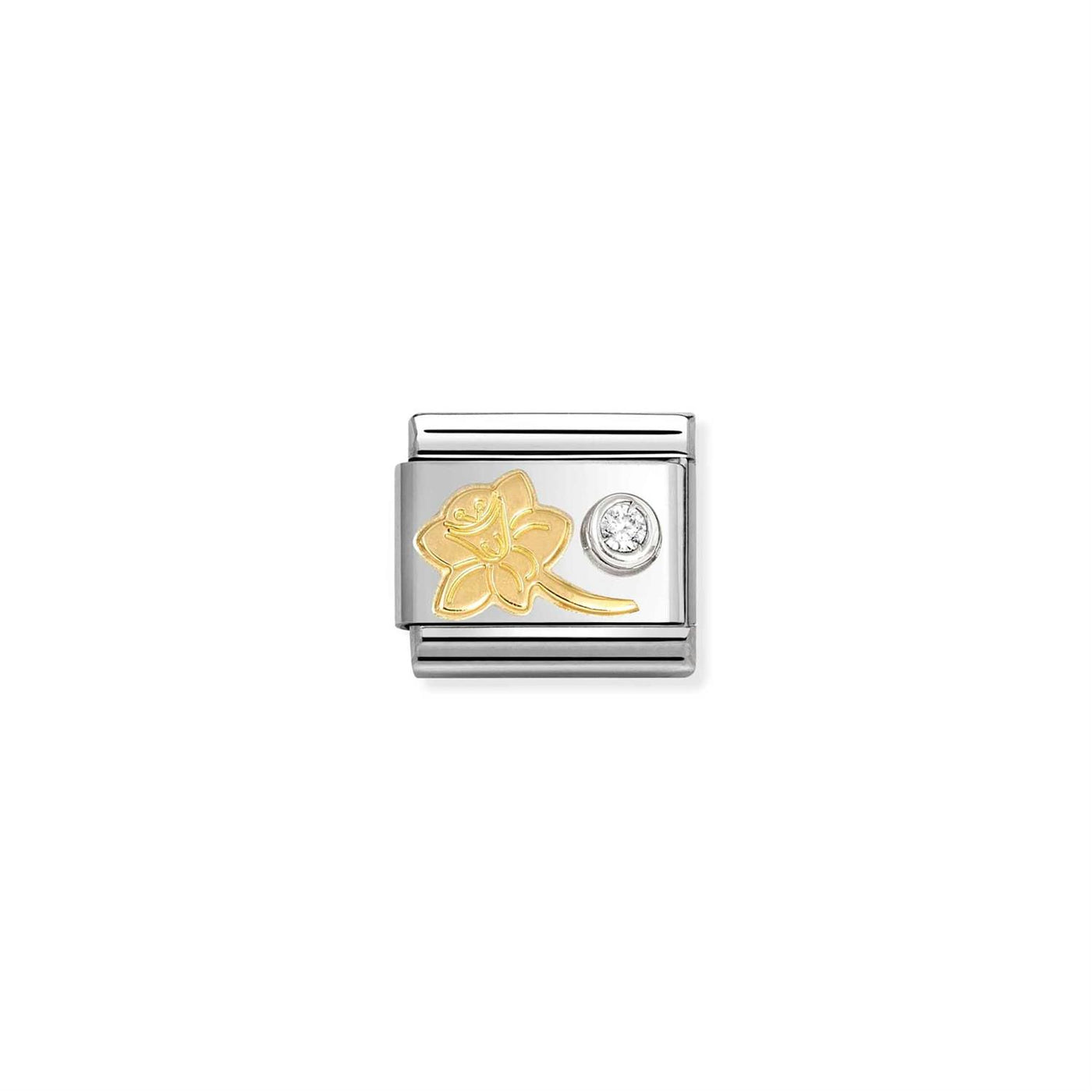 Narcissus cz white