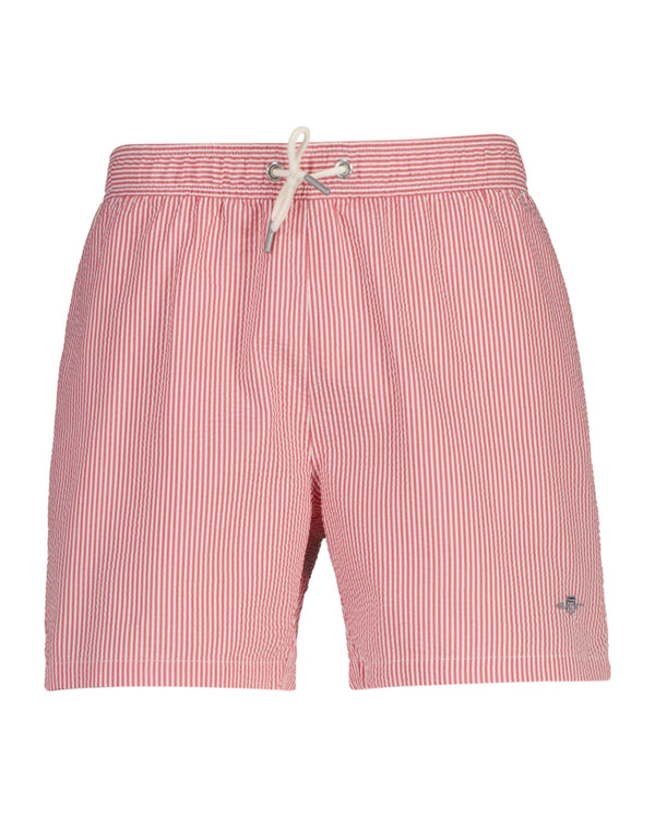Striper Seersucker Swim Shorts