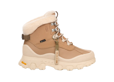 W Adirondack Meridian Hiker