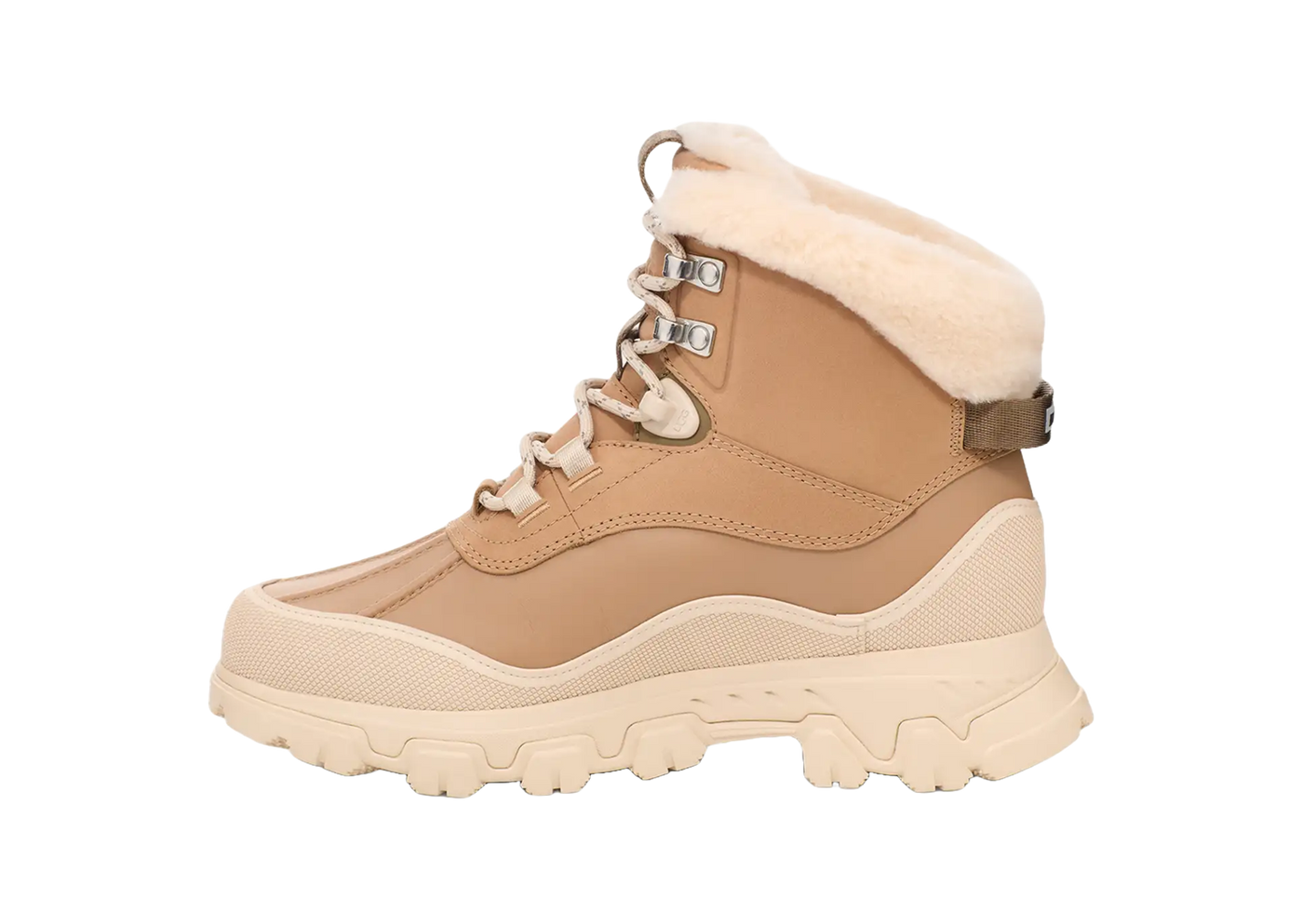 W Adirondack Meridian Hiker