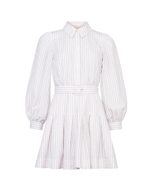 Seersucker Pleated Dress