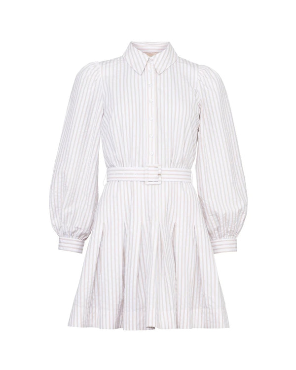 Seersucker Pleated Dress