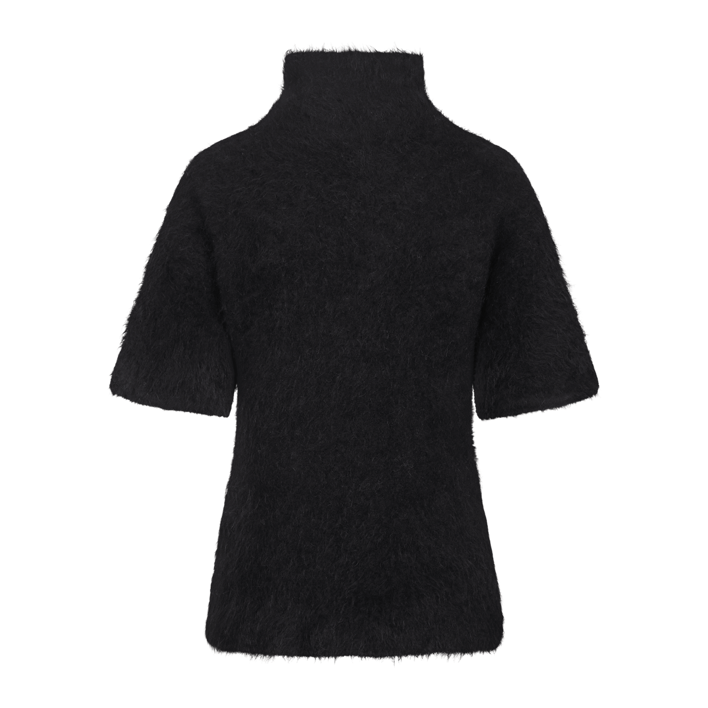 Leah Ss Turtleneck