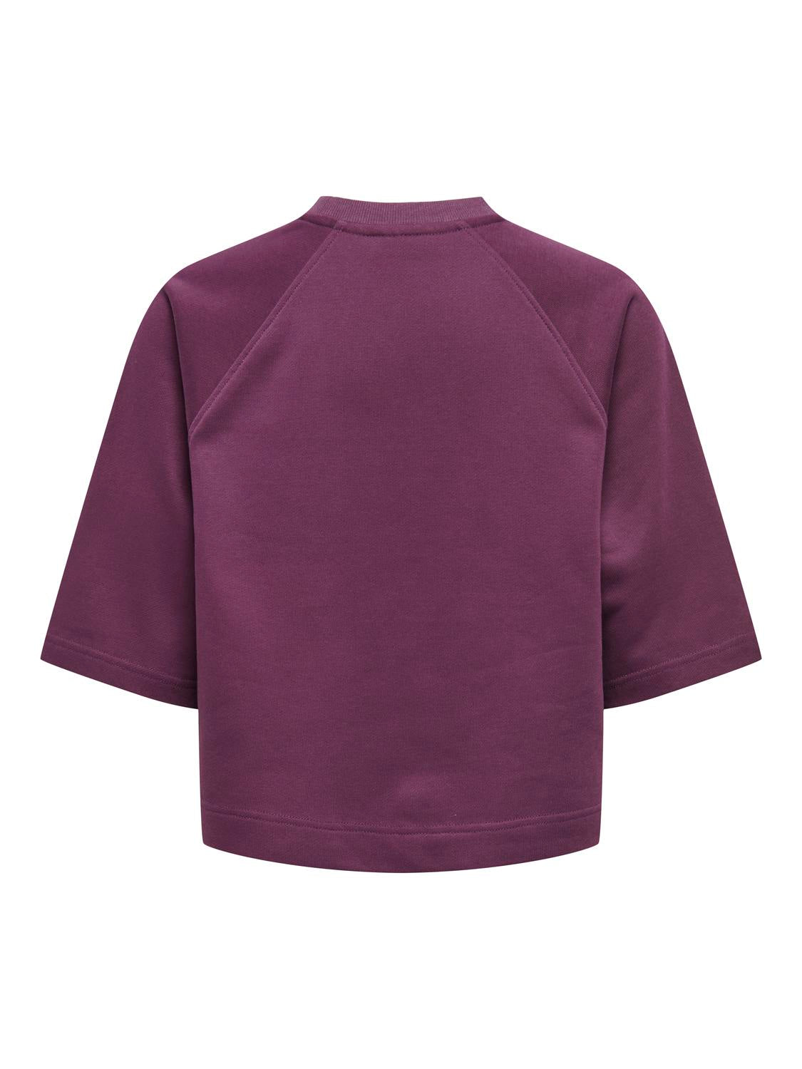 Onldasie 2/4 O-Neck Raglan Ub Cs Swt