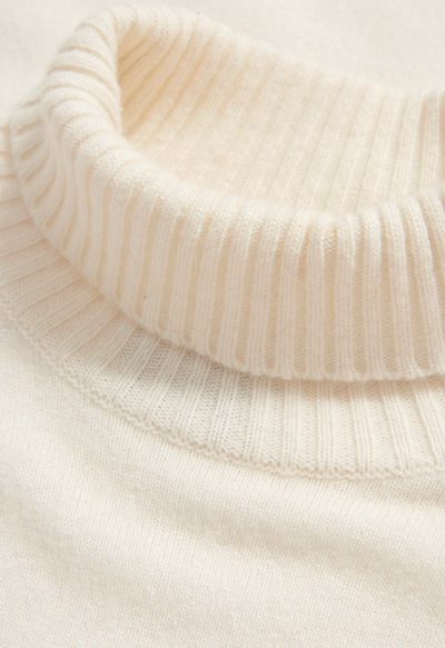 Salim rollneck