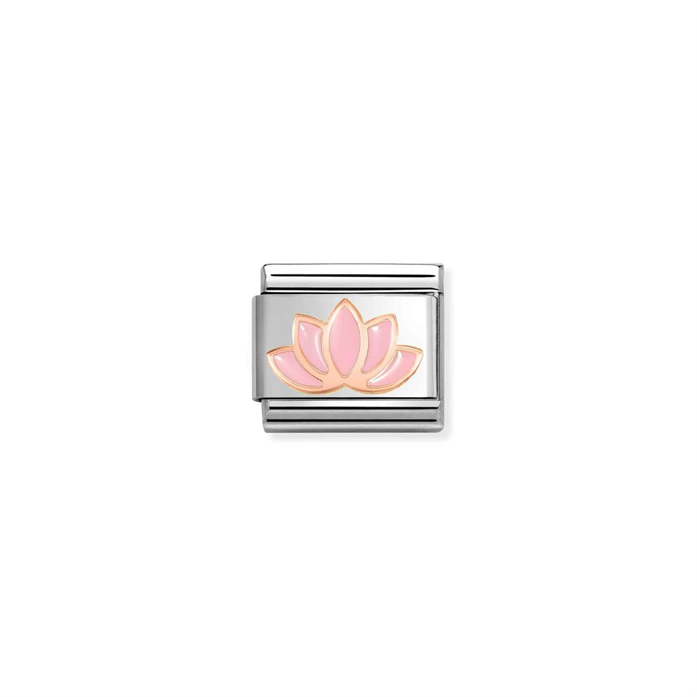 Pink lotus flower