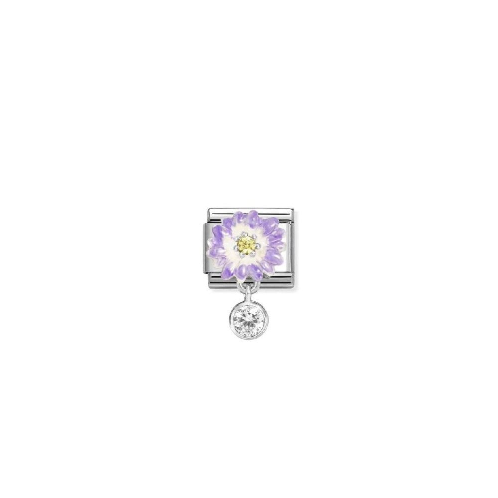 Lilac daisy with roundel